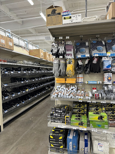 Van Marcke's Ace Hardware