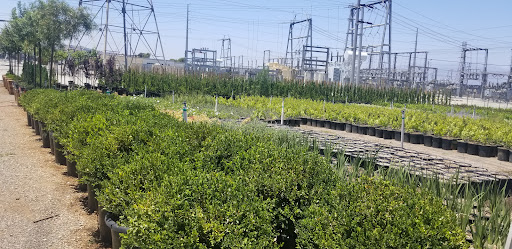 EJ Growers Inc.