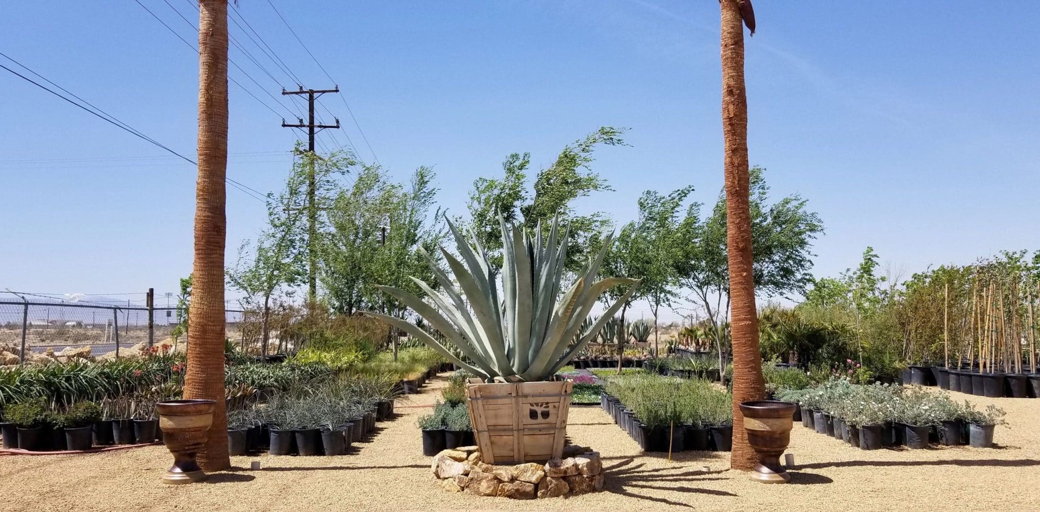 Fireman Rock & Nursery Inc.: Expertos en Jardinería y Cuidado de Plantas